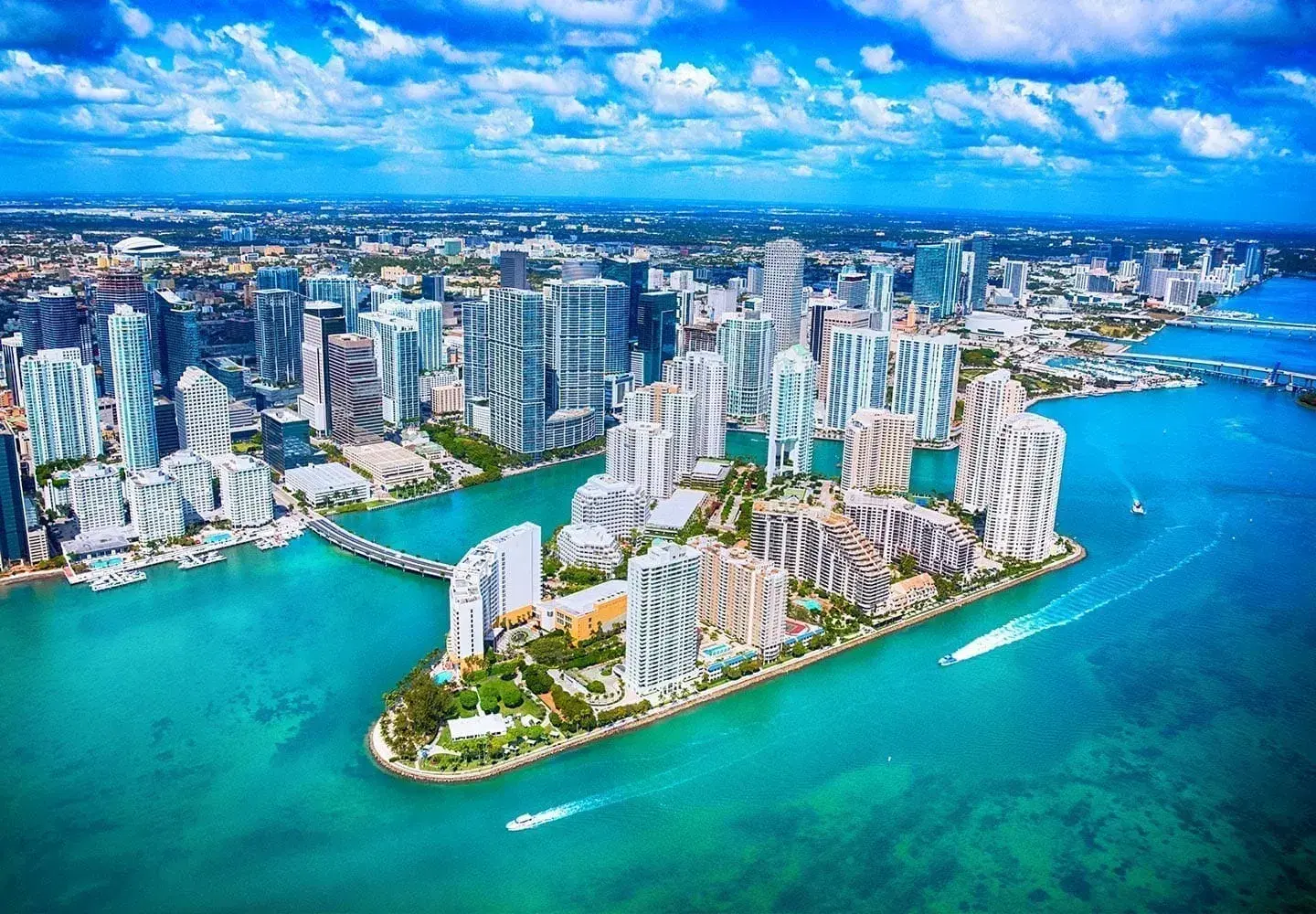 Miami’s Quest for Innovation: How a Software Development Company Can Deliver Global Solutions